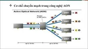 Cơ chế chuyển mạch point to point trong công nghệ AON